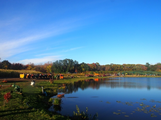 Connor's Farm Massachusetts 